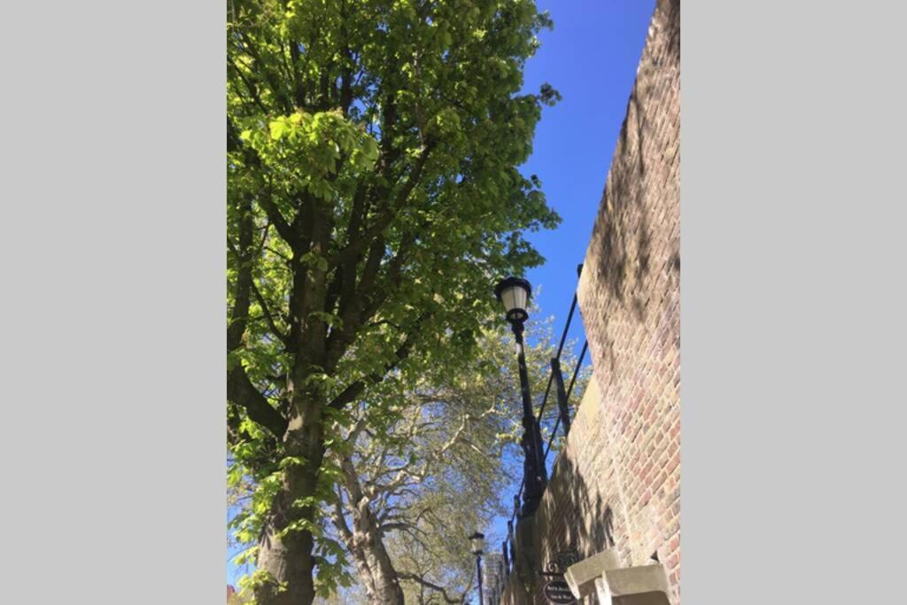 Apartamento Werfkelder Aan De Oudegracht Utrecht Exterior foto